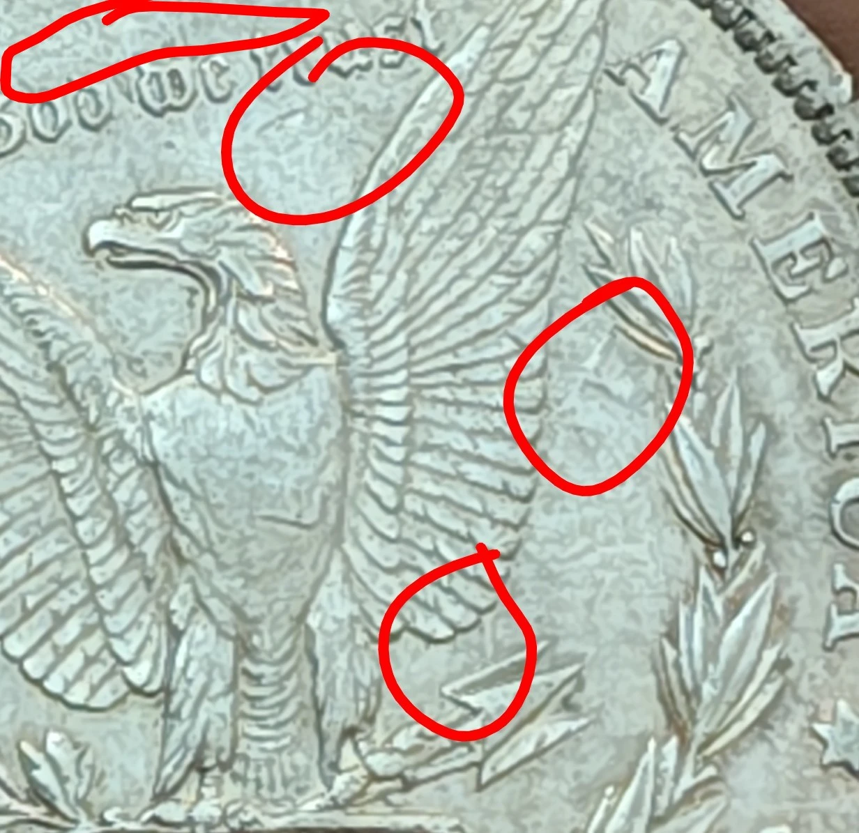 1882-O-Morgan-Dollar-Strike-Thru-Or-Die-Clash-Error?